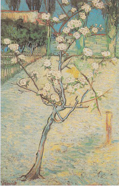 Vincent Van Gogh Flowering Pear-Tree